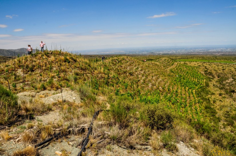 _GC18602_1 - Copy.JPG