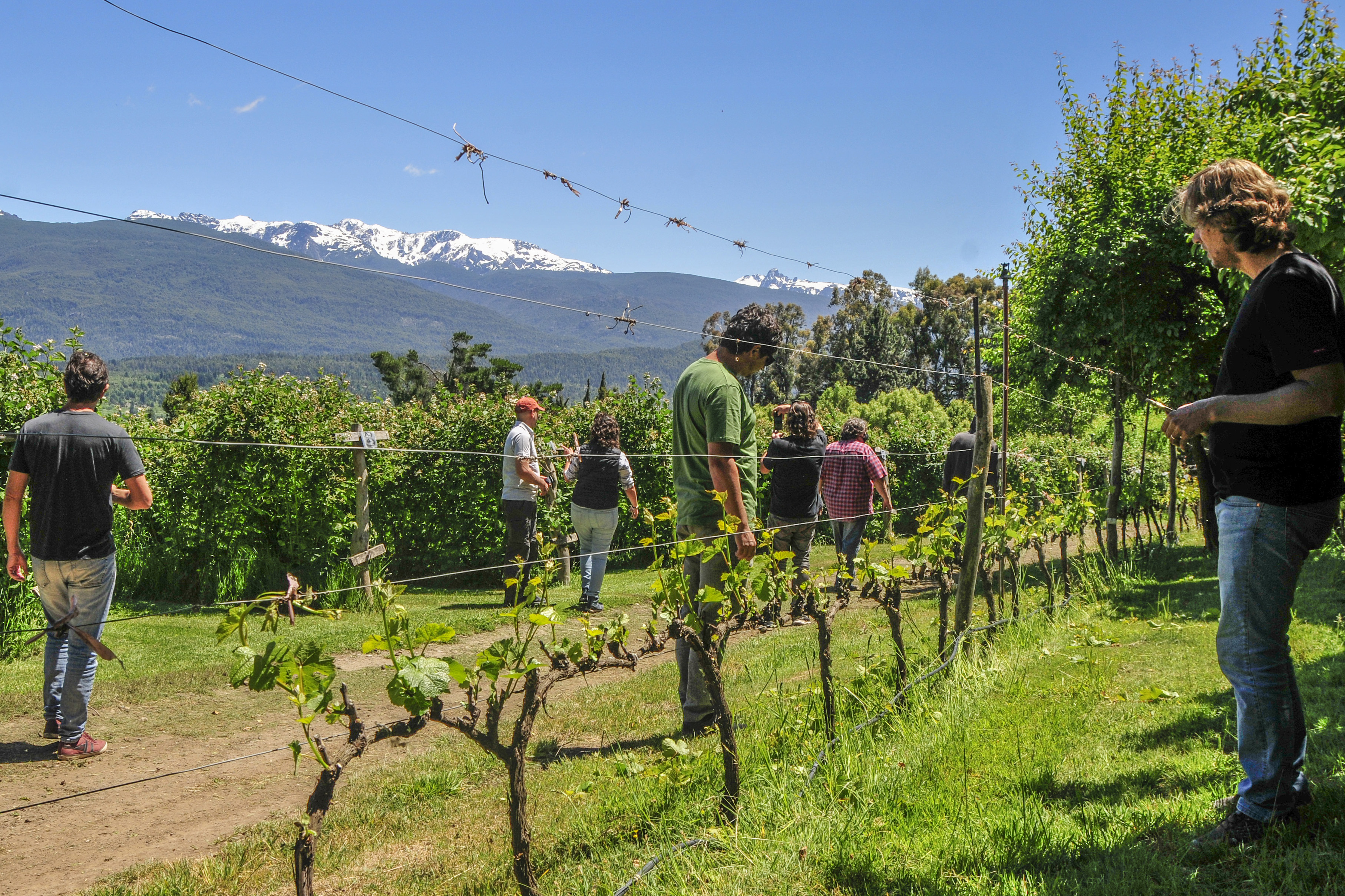 EL BOLSÓN – RÍO NEGRO – Geografía del Vino
