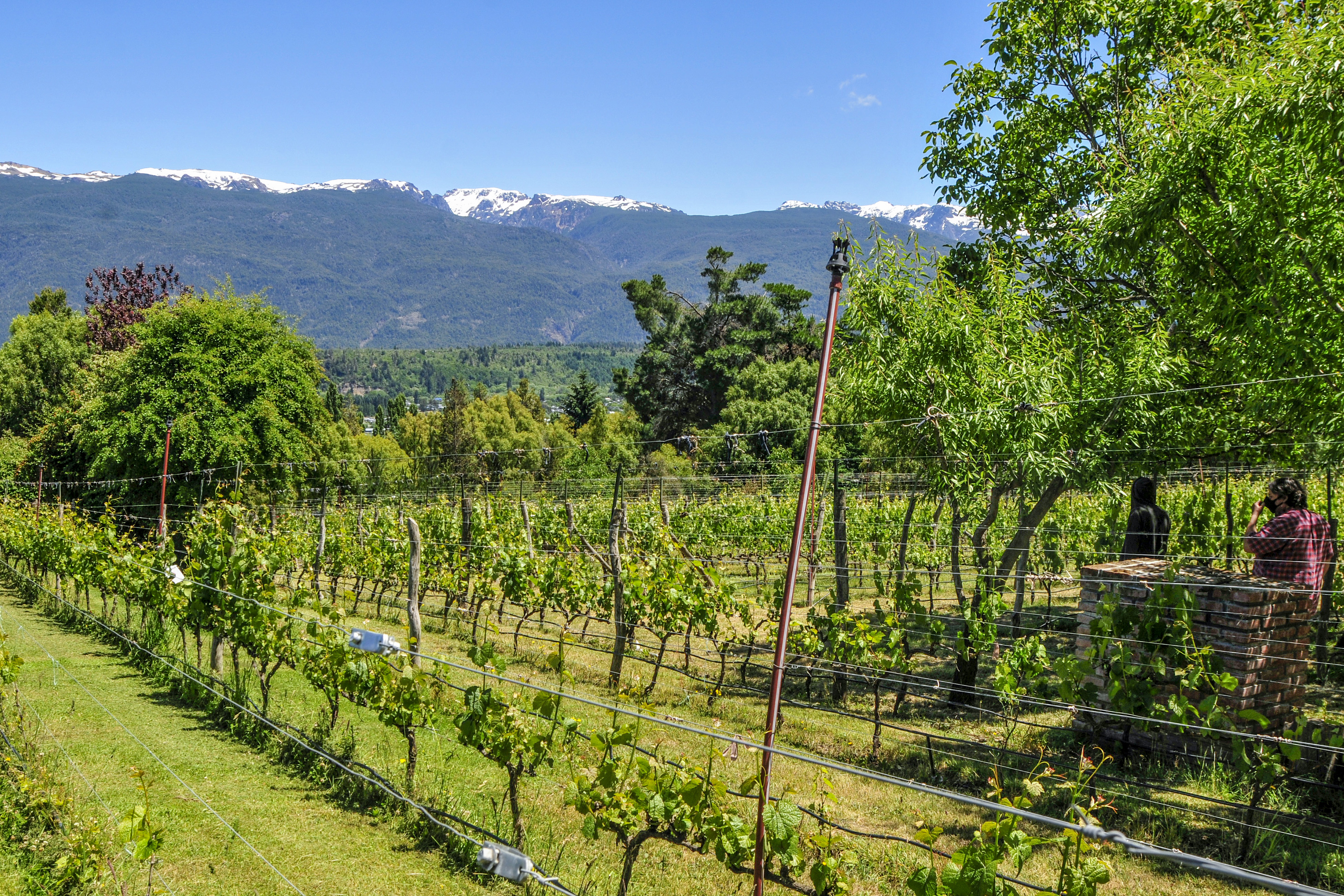 EL BOLSÓN – RÍO NEGRO – Geografía del Vino