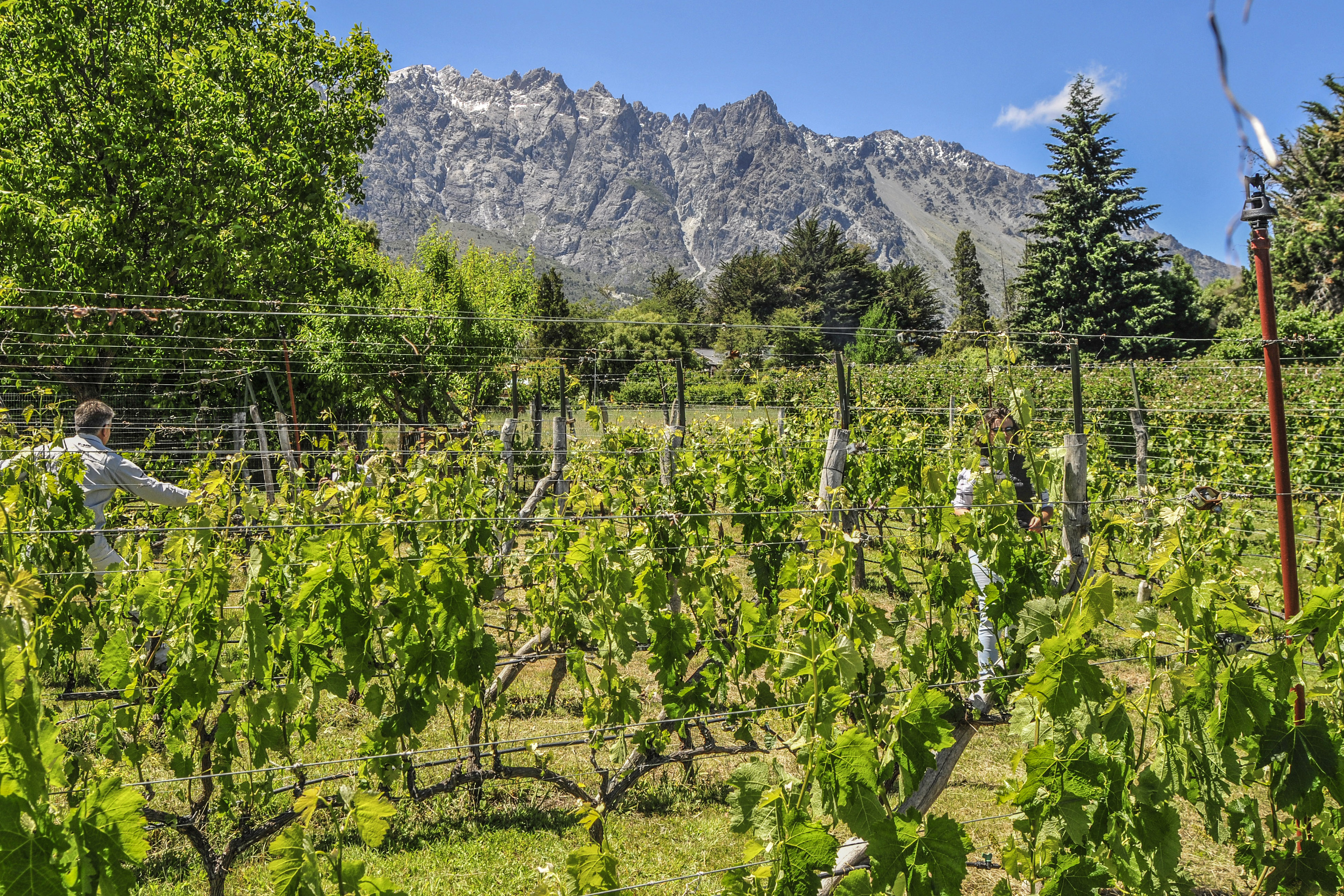 EL BOLSÓN – RÍO NEGRO – Geografía del Vino